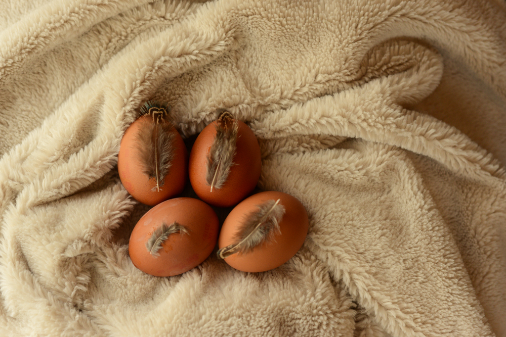several chicken eggs that have been decorated with feathers