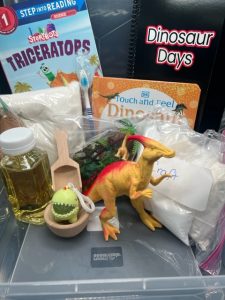 Various items include a toy dinosaur and dinosaur book, a toothbrush, and other toys. 